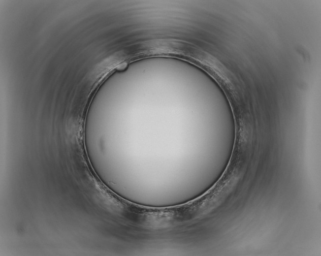 X0000112080793200909011042