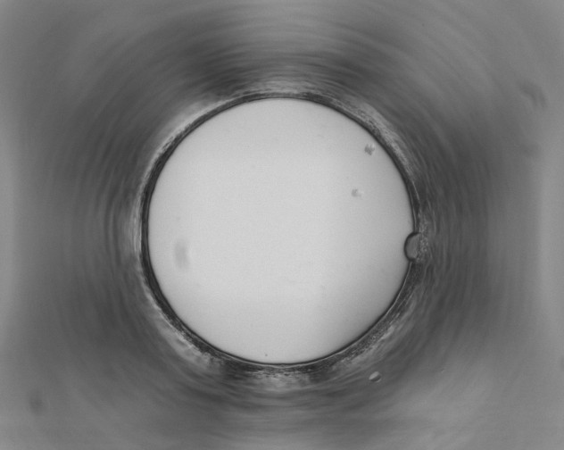 X0000112080795200909011042