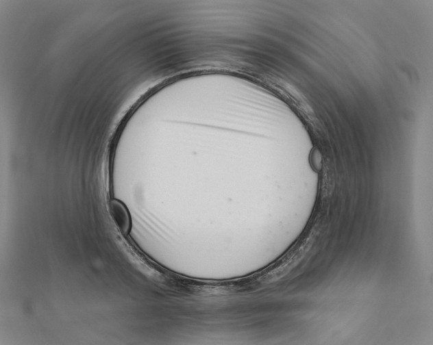X0000112080796200909011042