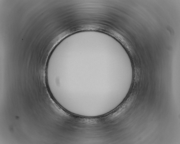 X0000112080802200909011042