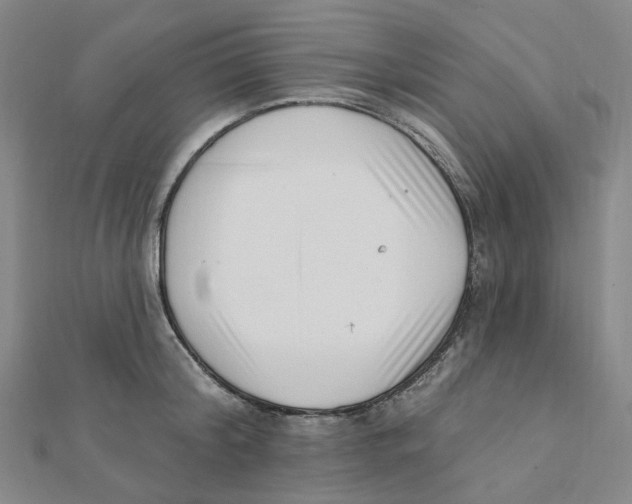 X0000112080804200909011042