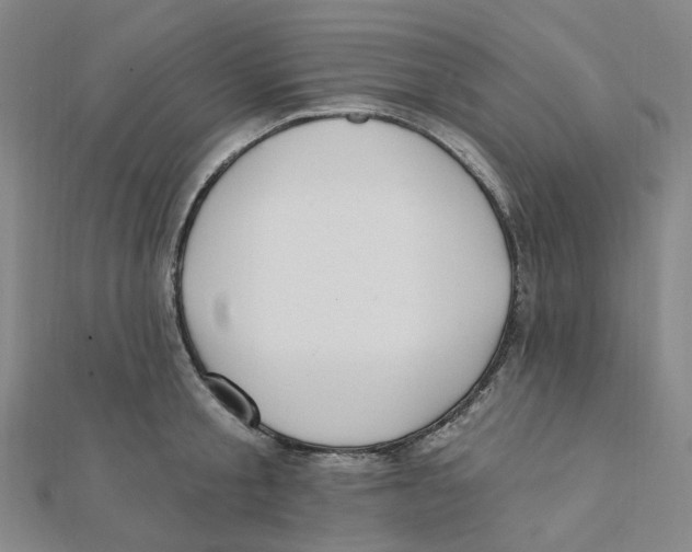X0000112080805200909011042