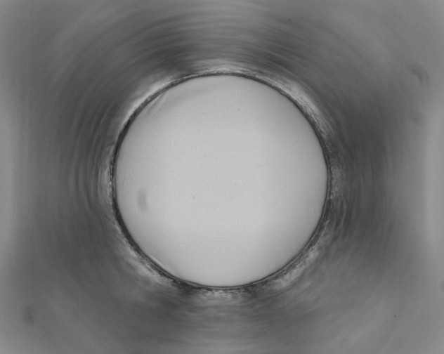 X0000112080806200909011042