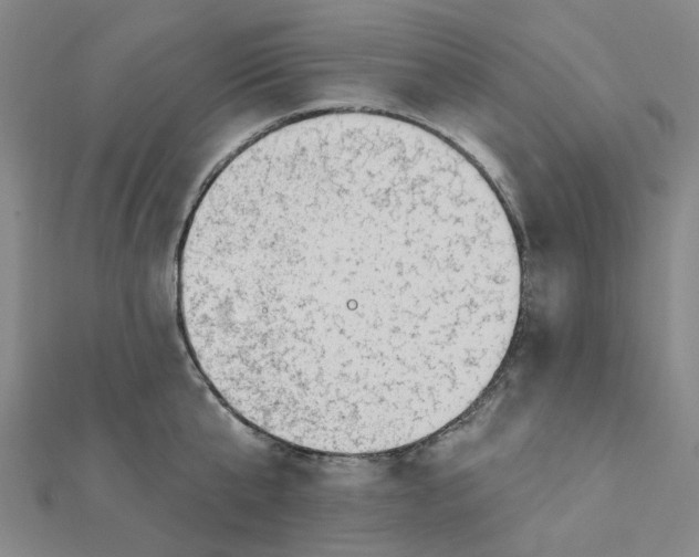 X0000112080807200909011042