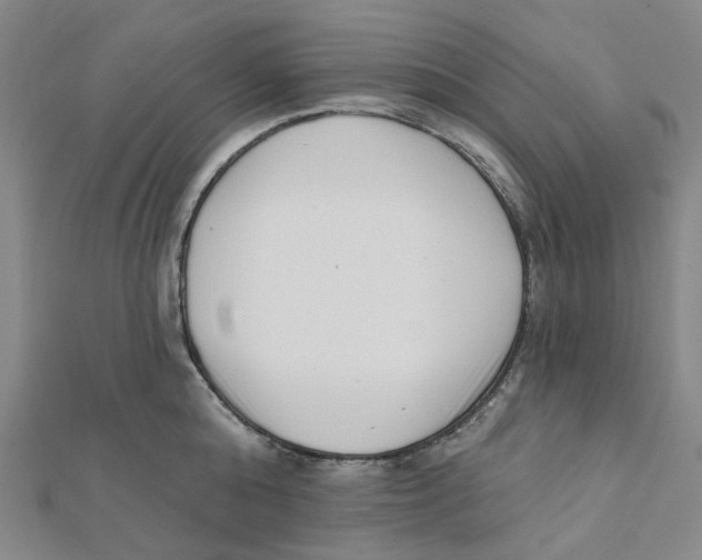 X0000112080808200909011042