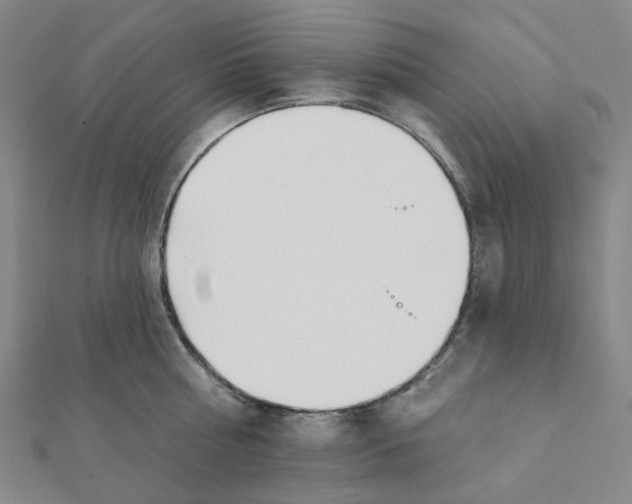 X0000112080810200909011042