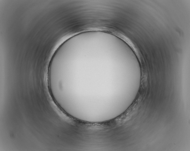 X0000112080811200909011042