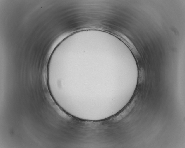 X0000112080812200909011042