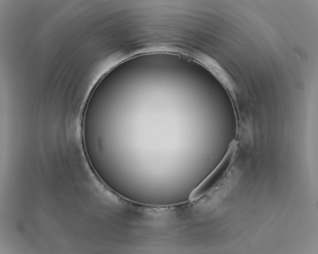 X0000112080813200909011042