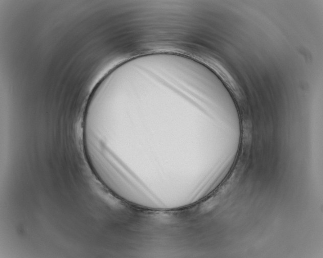 X0000112080814200909011042