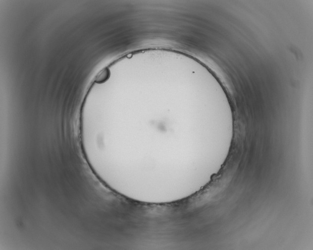 X0000112080815200909011042