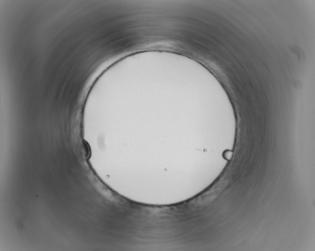X0000112080816200909011042