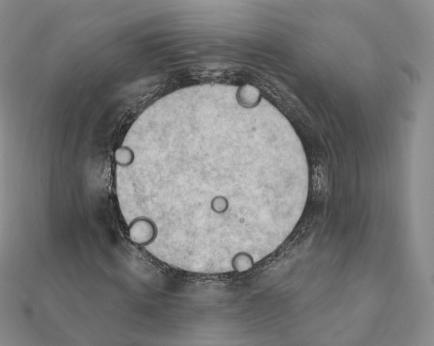 X0000112080820200909011041