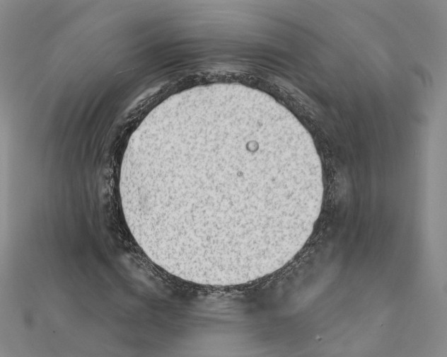 X0000112080824200909011041