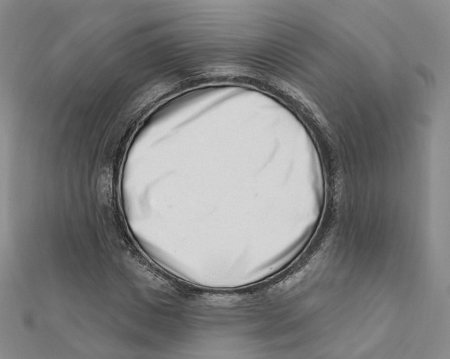 X0000112080825200909011041