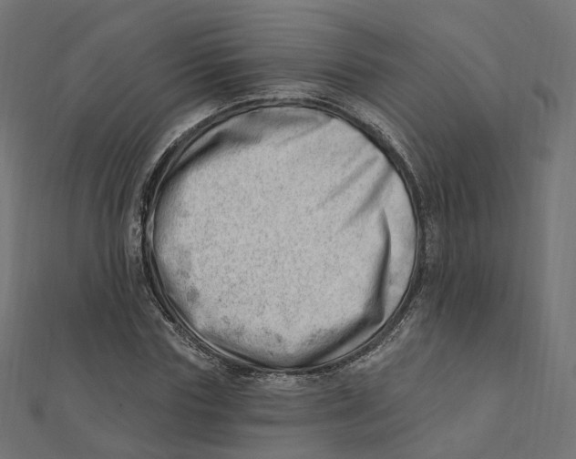 X0000112080827200909011041