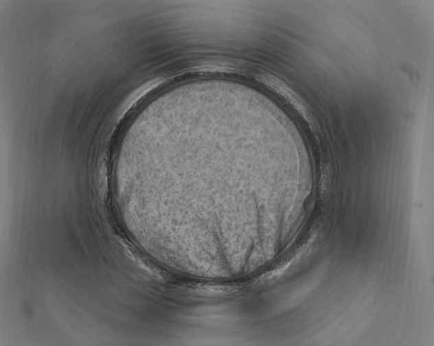 X0000112080829200909011042