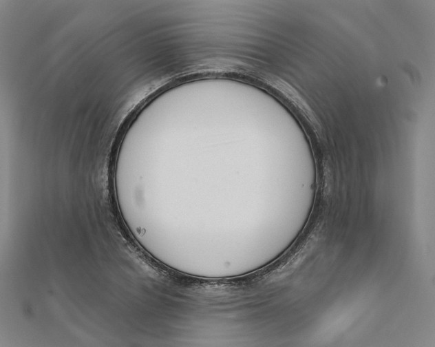 X0000112080834200909011042
