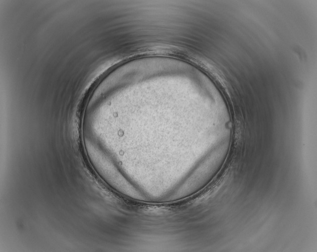 X0000112080835200909011042
