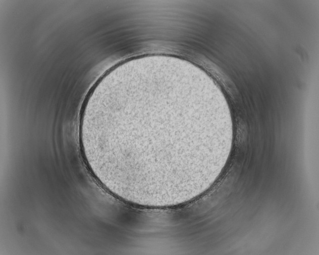 X0000112080836200909011042
