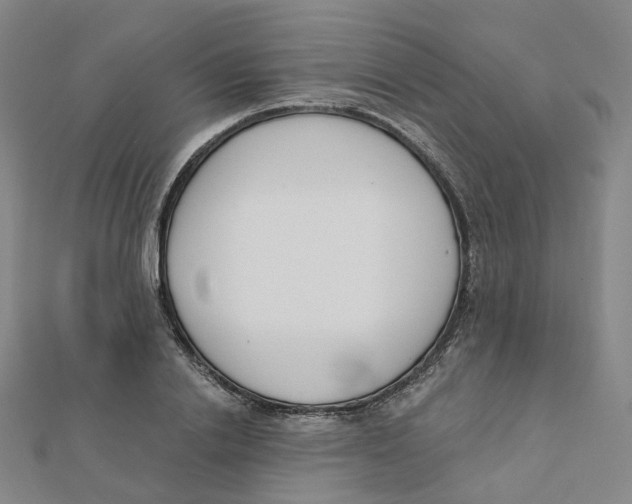 X0000112080838200909011042