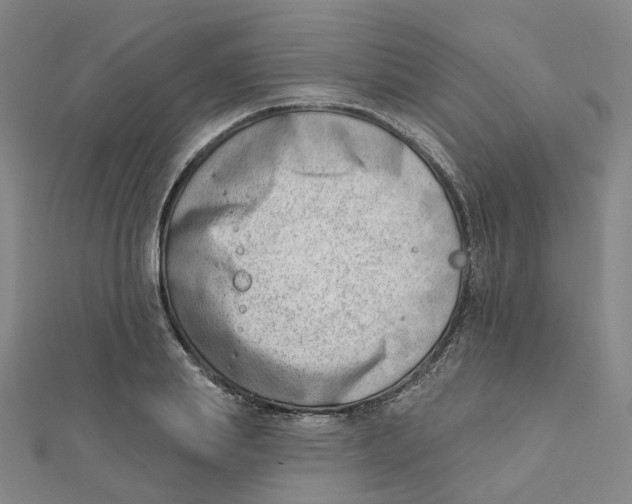 X0000112080839200909011042