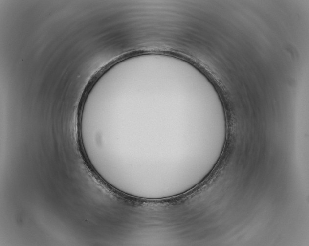 X0000112080840200909011042