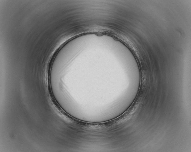 X0000112080843200909011042