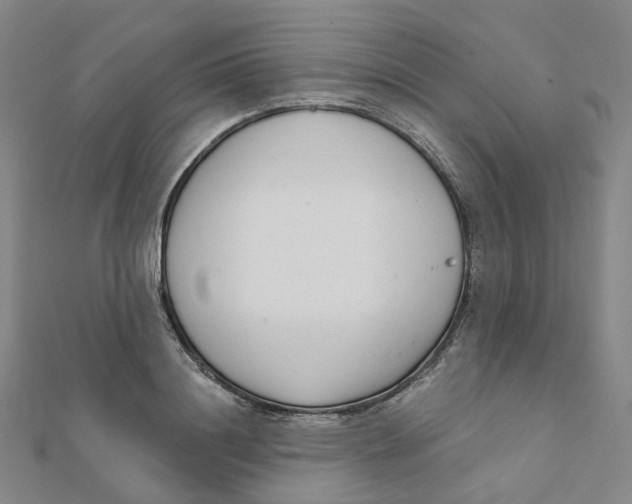 X0000112080844200909011042
