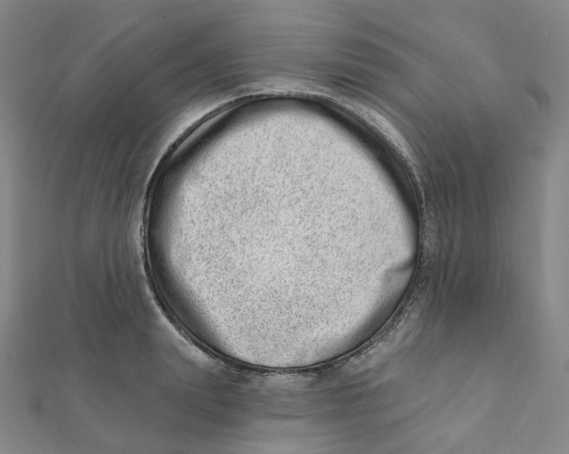 X0000112080847200909011042