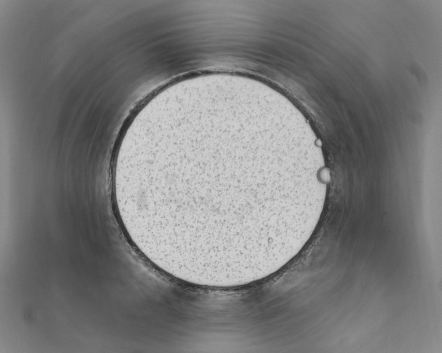 X0000112080848200909011042