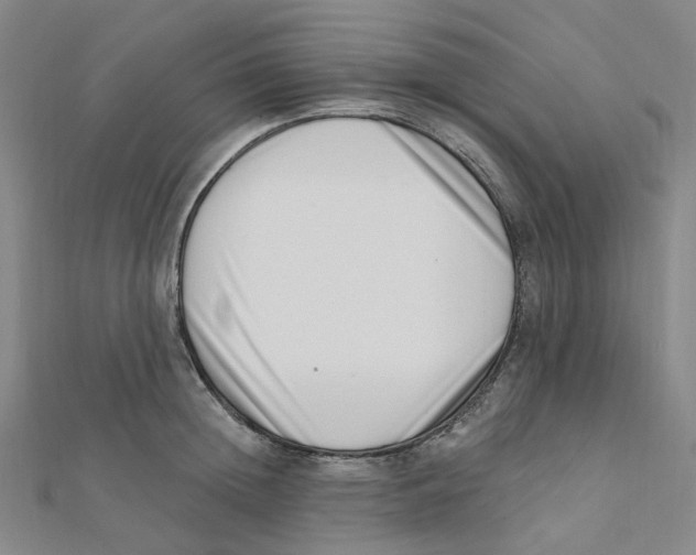 X0000112080852200909011042
