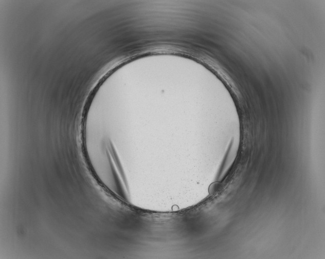 X0000112080853200909011042