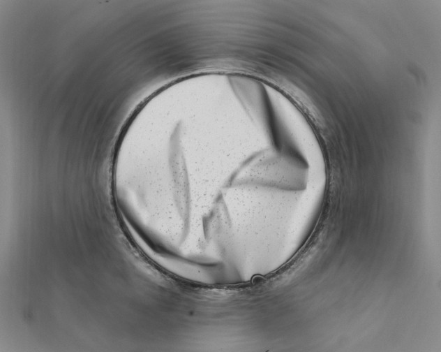 X0000112080854200909011042