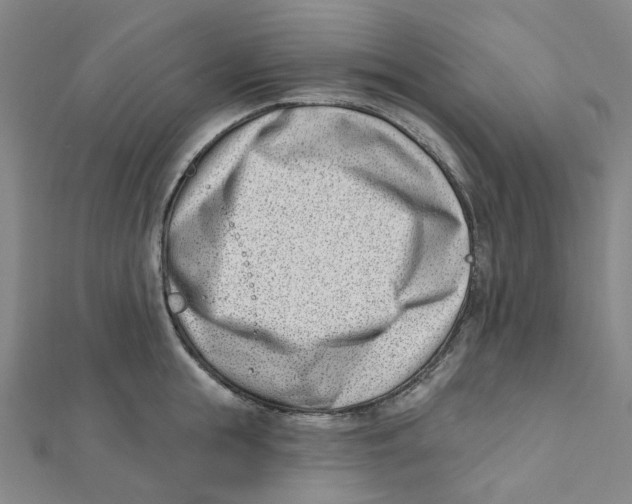 X0000112080855200909011042