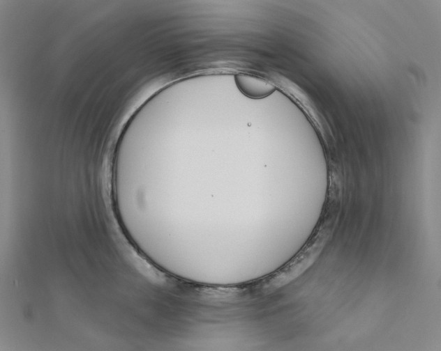 X0000112080859200909011042