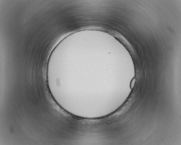 X0000112080860200909011042