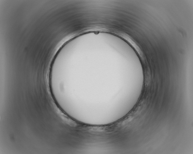 X0000112080861200909011042