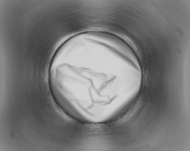 X0000112080862200909011042