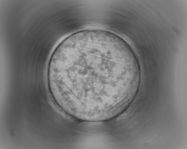 X0000112080864200909011042
