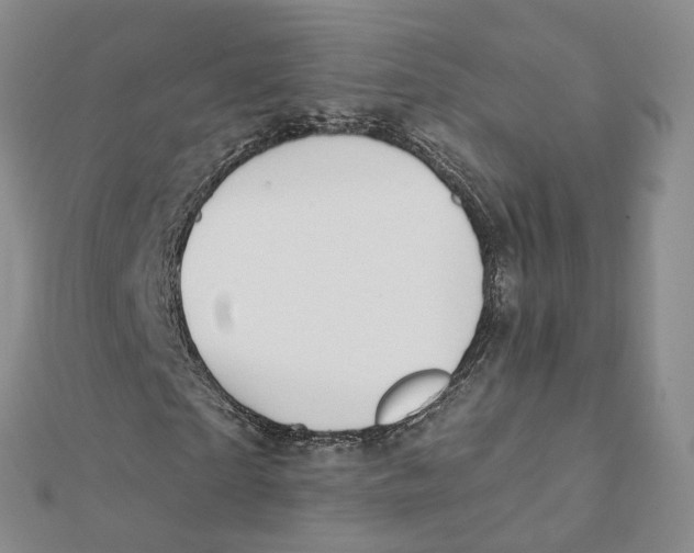 X0000112080865200909011041