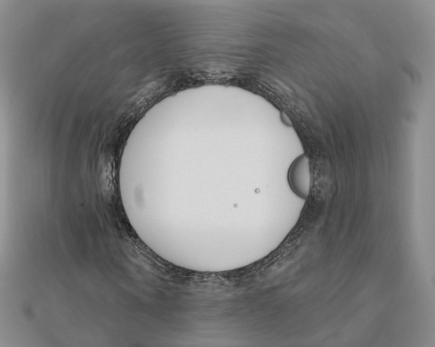X0000112080866200909011041