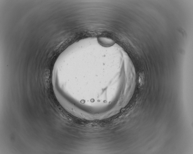 X0000112080867200909011041