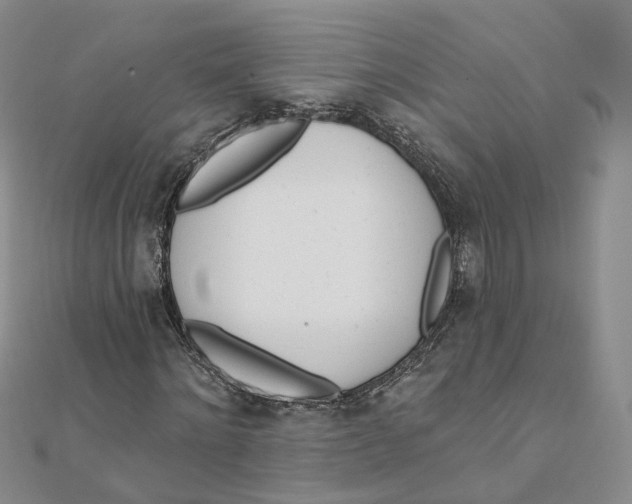X0000112080868200909011041