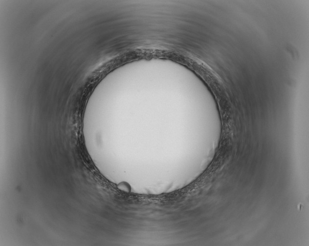 X0000112080870200909011041