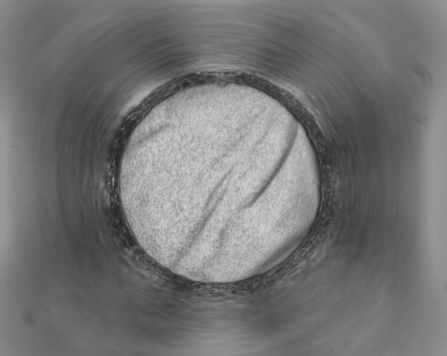 X0000112080871200909011041