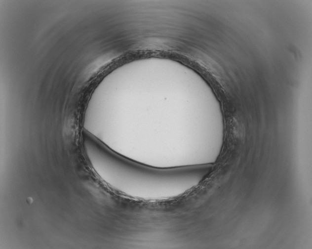 X0000112080872200909011041