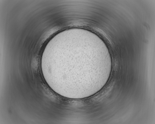 X0000112080874200909011041