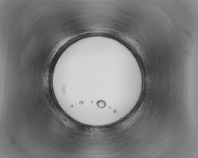 X0000112080875200909011041
