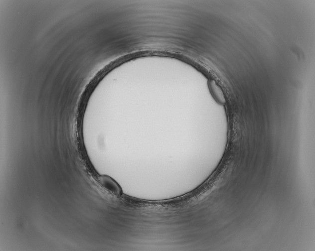 X0000112080880200909011041